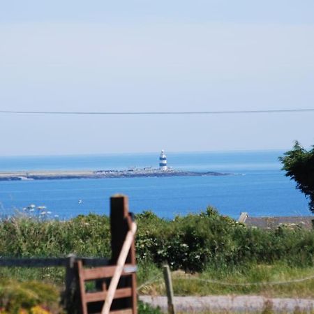 Beautiful One Bed With Stunning Sea View Apartment Waterford Bagian luar foto
