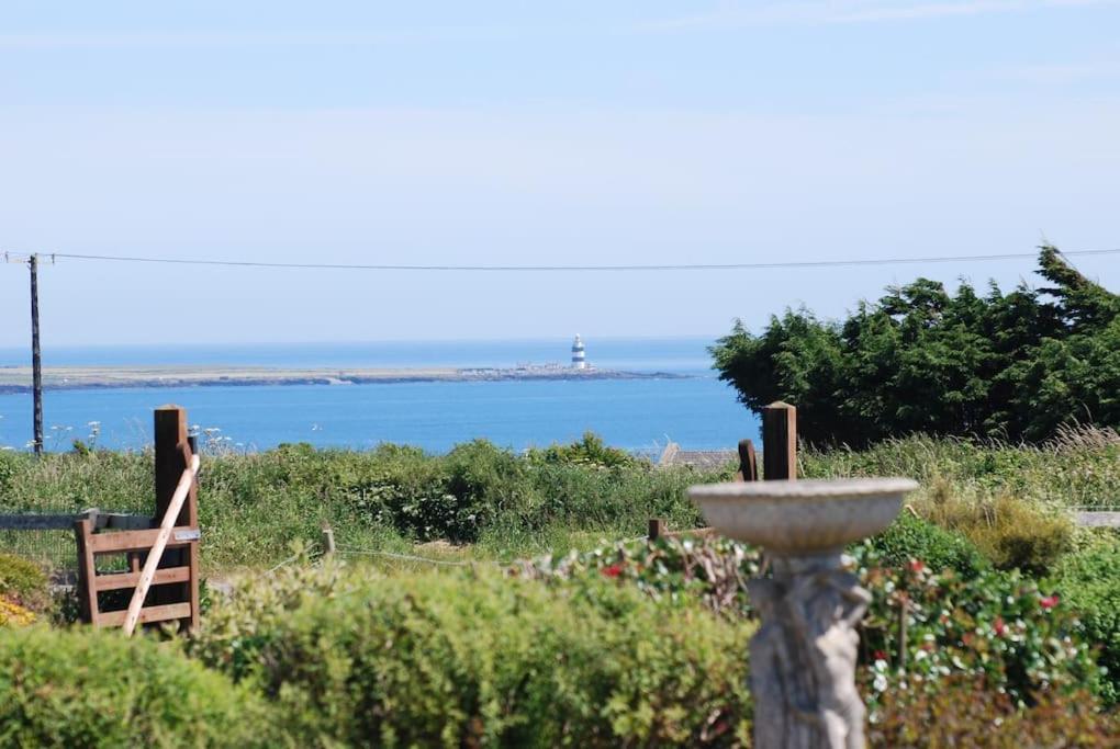 Beautiful One Bed With Stunning Sea View Apartment Waterford Bagian luar foto