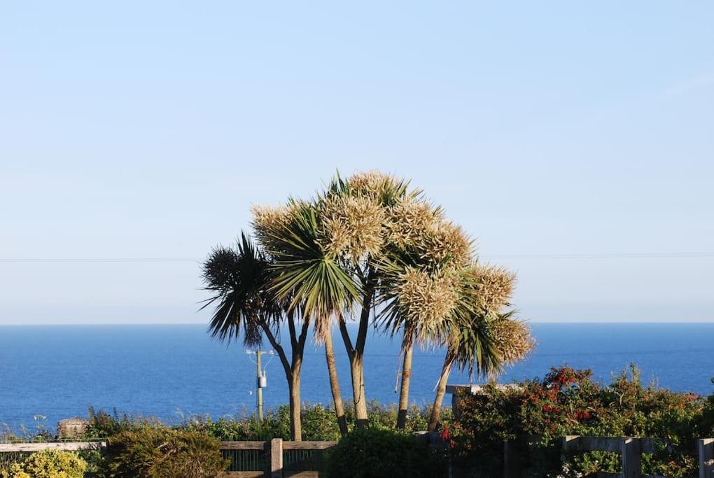 Beautiful One Bed With Stunning Sea View Apartment Waterford Bagian luar foto